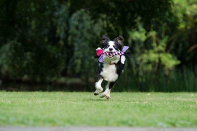 Active and FUN Basis - Woensdag 10 april 19:00 uur
