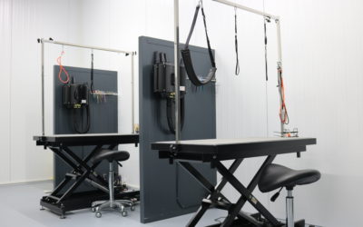 Naar de trimsalon: zin of onzin?