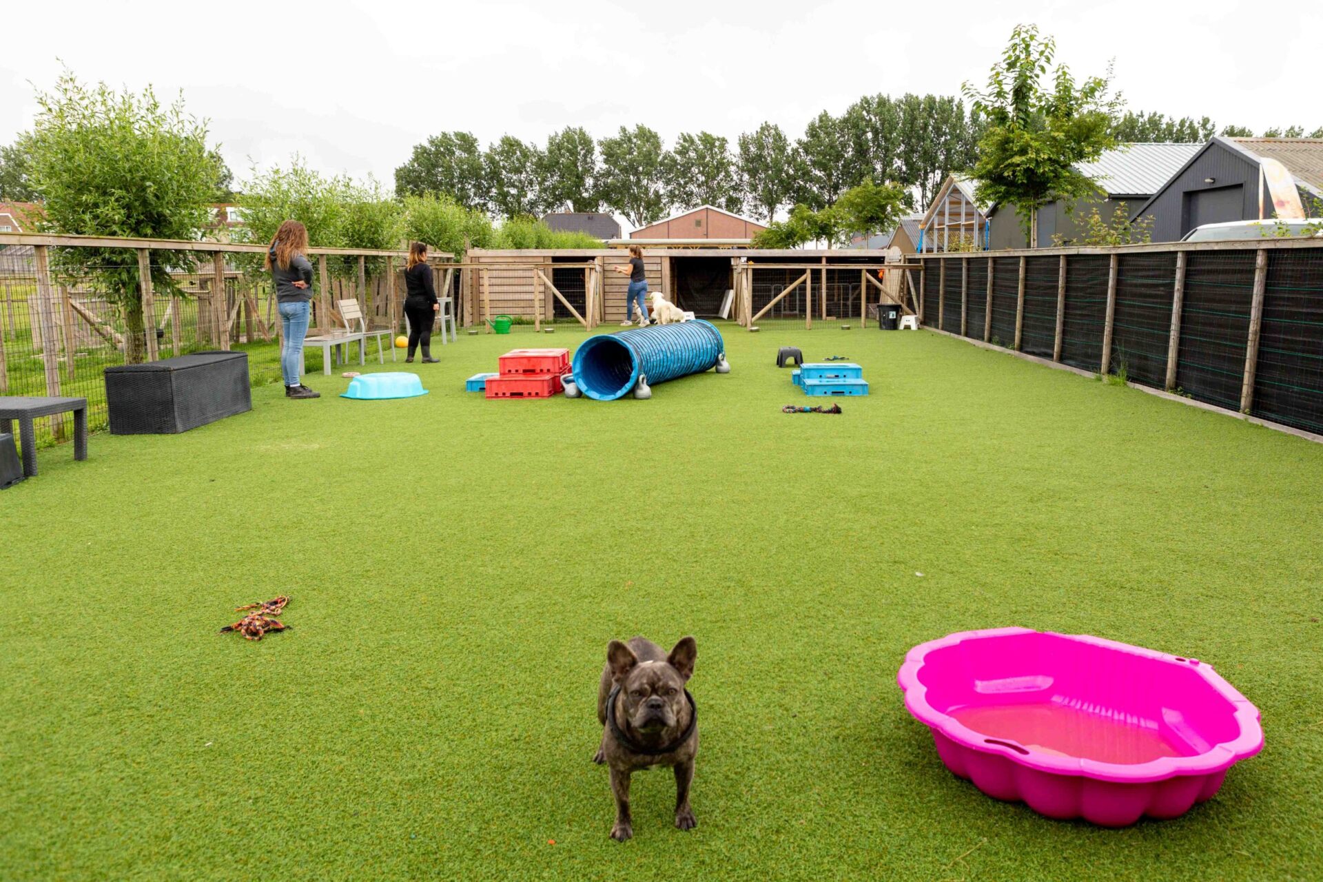 Wereldhond-24