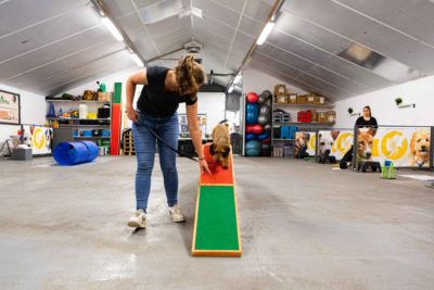 Active and FUN basis (indoor) - Zaterdag 9 maart 09:30 uur