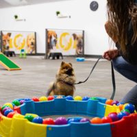 Dinsdag 28 april om 18:30 uur - Fun & Cookies