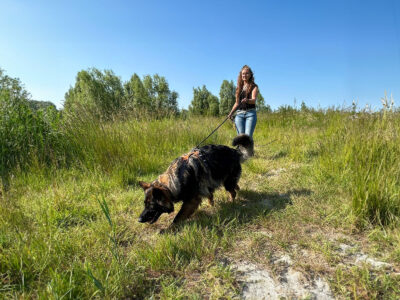 Hond met eigenaar aan het Mantrailen