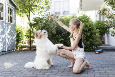 Workshop Kind & Hond Kerstthema - Vrijdag 3 januari om 11:30 uur