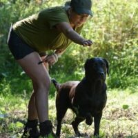 Dirigeren bij wereldhond