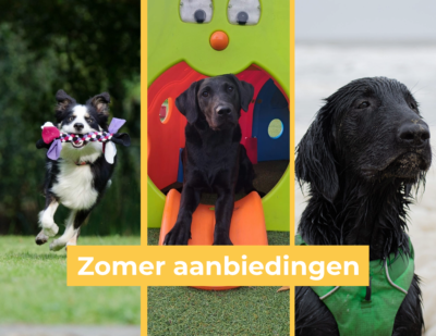 Maandag 17 juni om 20:30 uur - Zomer aanbieding