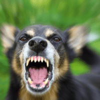 Uitvallen aan de lijn - Zaterdag 11 april om 13:00 uur