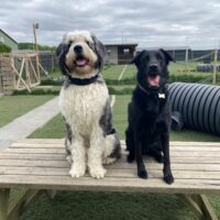 Automatische incasso vaste dag WOENSDAG