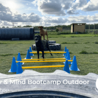 Workshop Bootcamp Body & Mind Outdoor - Vrijdag 29 mei om 18:30 uur