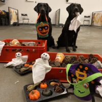 Workshop Halloween 🎃 - Vrijdag 30 oktober om 12:30 uur
