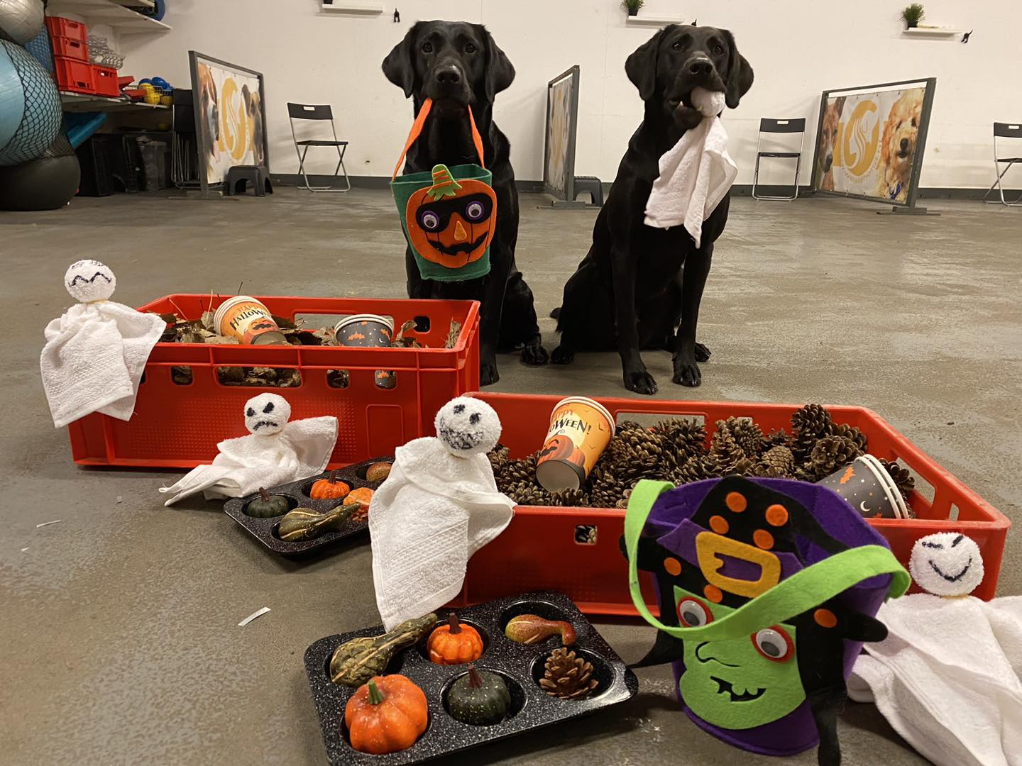 Workshop Halloween 🎃 - Vrijdag 30 oktober om 12:30 uur