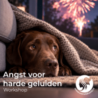 Workshop angst voor harde geluiden